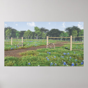 Bluebonnets Poster