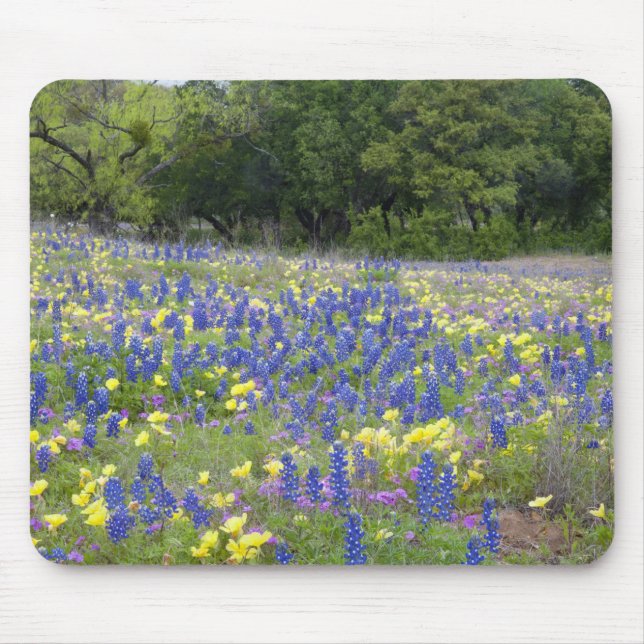 Bluebonnets, Primrose und Phlox Mousepad (Vorne)