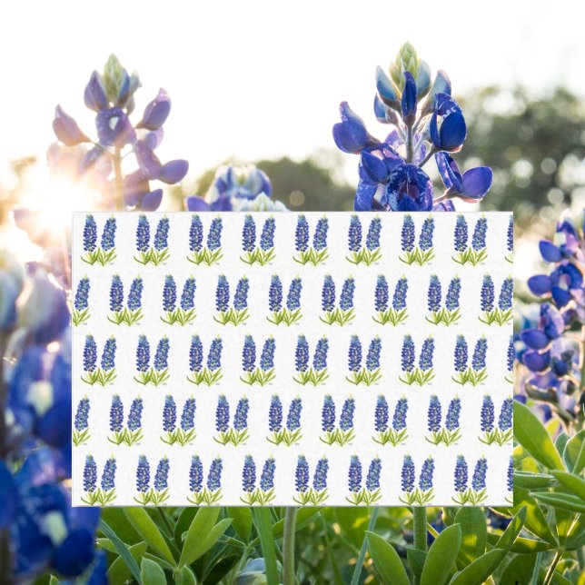 Bluebonnets Texas Blume Wildblumen Aquarell Seidenpapier (Von Creator hochgeladen)