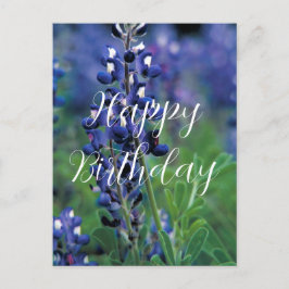Bluebonnets Texas Staat Blume Blue Birthday Postkarte