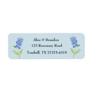Bluebonnets Texas Staat Blume Lupine Blue