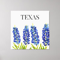 Bluebonnets Texas Staat Blume Lupine