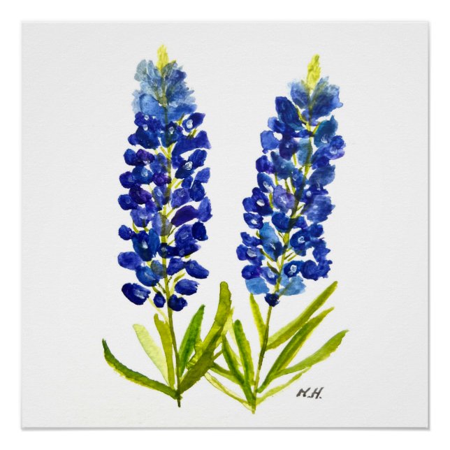 Bluebonnets Texas Staat Blume Lupine Poster (Vorderseite)