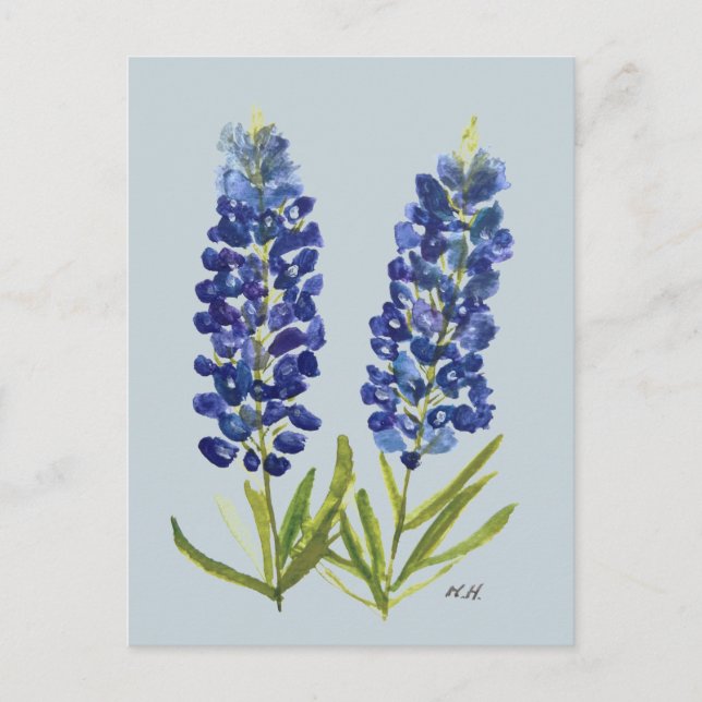 Bluebonnets Texas Staat Blume Lupine Postkarte (Vorderseite)
