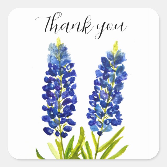 Bluebonnets Texas Staat Blume Lupine Quadratischer Aufkleber (Vorderseite)