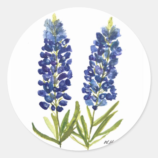 Bluebonnets Texas Staat Blume Lupine Runder Aufkleber (Vorderseite)