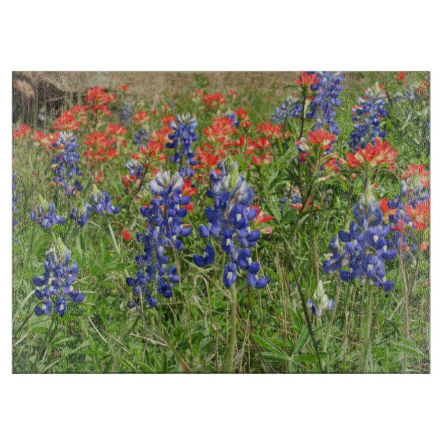 Bluebonnets und indische Pinsel Schneidebrett (Vorderseite)