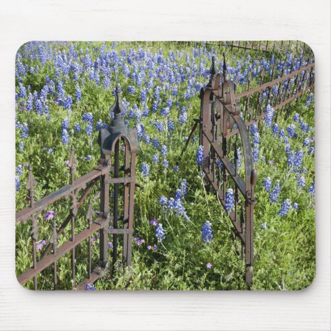 Bluebonnets und Phlox rund um den Friedhof Mousepad (Vorne)