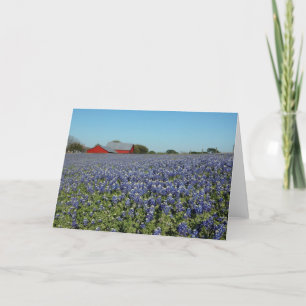 Bluebonnets und Stall Karte