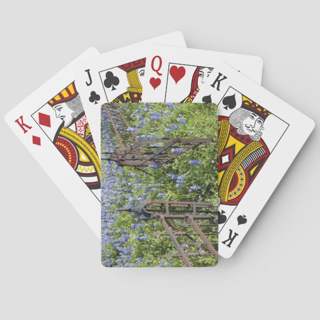 Bluebonnets und umgebendes Friedhofstor des Phlox Spielkarten (Rückseite)