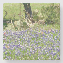 Bluebonnets und Untersetzer aus Kakteen, Marmorste
