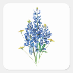 Bluebonnets und Wildblumen Quadratischer Aufkleber