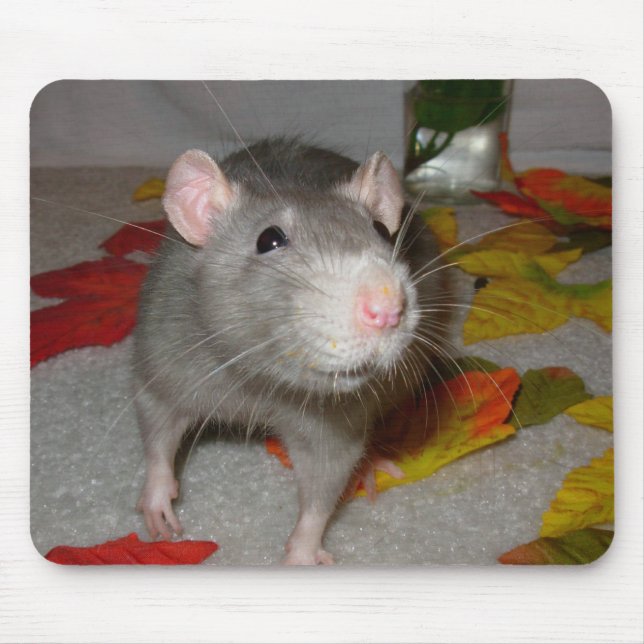 blueboo3 mousepad (Vorne)