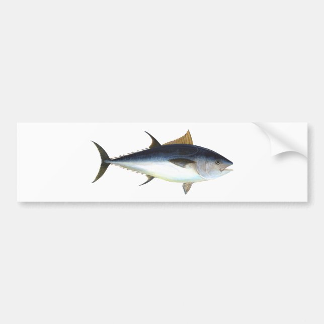 Bluefin-Thunfisch Autoaufkleber (Vorne)