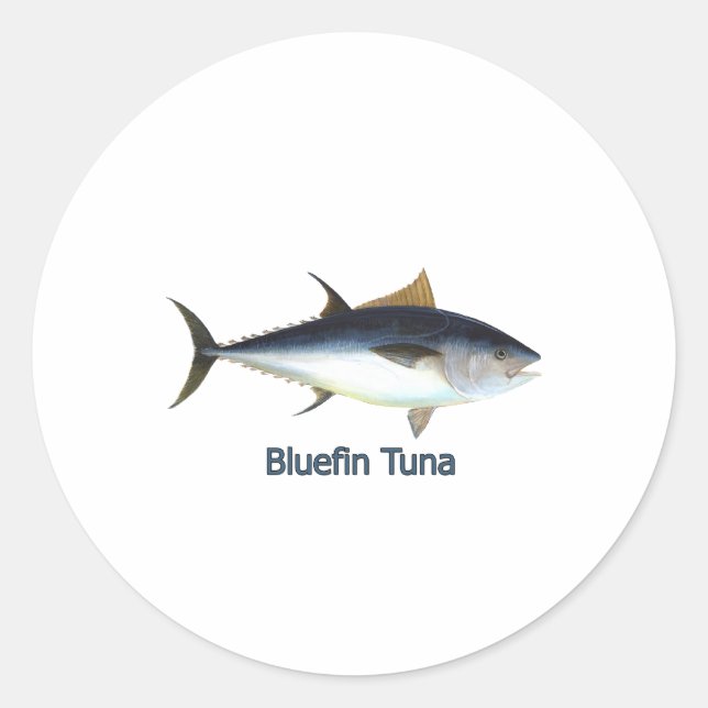 Bluefin-Thunfisch (betitelt) Runder Aufkleber (Vorderseite)