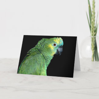Bluefront Amazon Parrot Notecard Karte