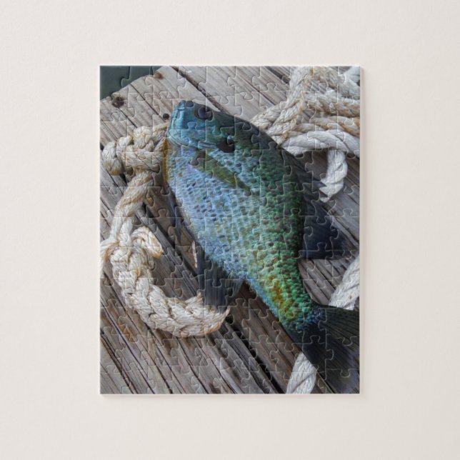 Bluegill auf Dock (Vertikal)