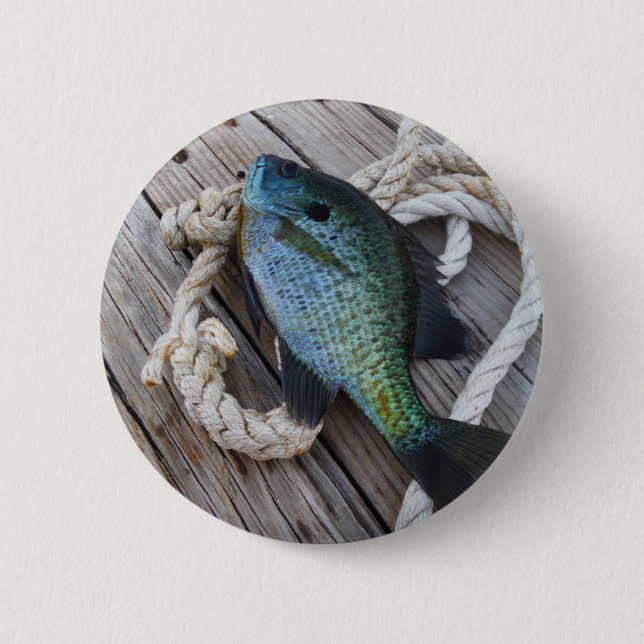 Bluegill auf Dock Button (Vorderseite)