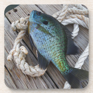 Bluegill auf Dock Untersetzer