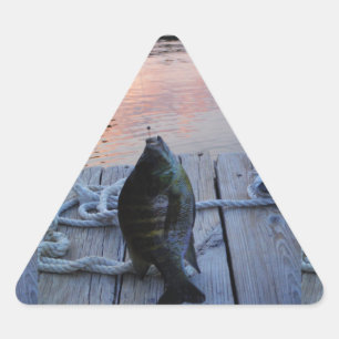 Bluegill bei Sonnenuntergang Lake Arrowhead Dreieckiger Aufkleber