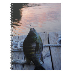 Bluegill bei Sonnenuntergang Lake Arrowhead Notizblock