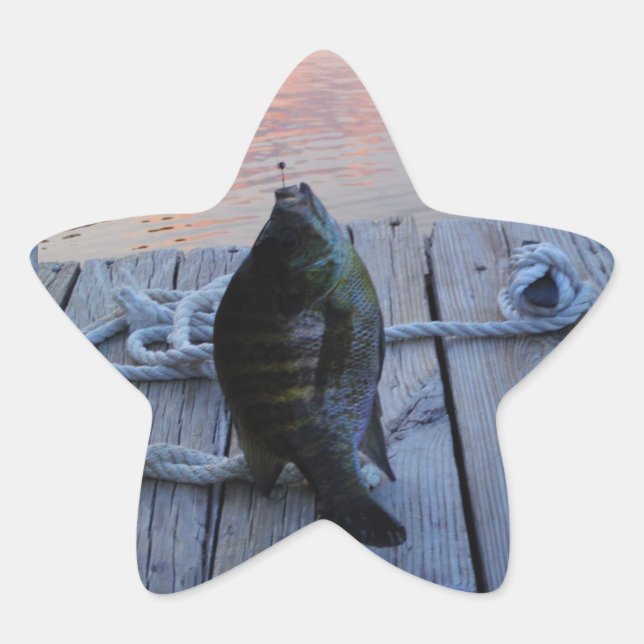 Bluegill bei Sonnenuntergang Lake Arrowhead Stern-Aufkleber (Vorderseite)