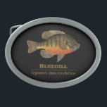 Bluegill Bream Fishing Ovale Gürtelschnalle<br><div class="desc">DER BLUEGILL. lateinische Bezeichnung: Lepomis macrochirus. Ob Fliegenfischen oder Angeln mit Angeln oder Köder,  Ichthyologe oder einfach nur Liebe Fisch,  dieses Design,  das eine große Brasse aus einem originalen Aquarellbild von Doug Shultz,  Trout Whiskers,  bietet,  wird Ihnen gefallen. Gutes Geschenk für deinen Lieblings-Fischer. Shopping ForeutWhiskers für andere einzigartige Angelausrüstung.</div>