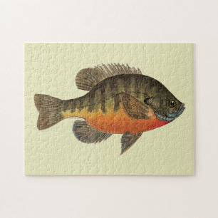 Bluegill Brei