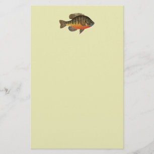 Bluegill Brei Briefpapier