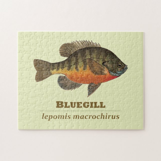 Bluegill-Brei-Fischerei (Horizontal)