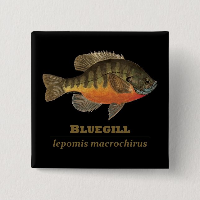 Bluegill-Brei-Fischerei Button (Vorderseite)
