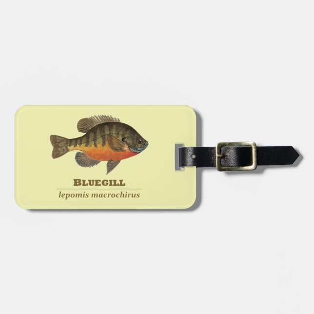 Bluegill-Brei-Fischerei Gepäckanhänger (Vorderseite horizontal)