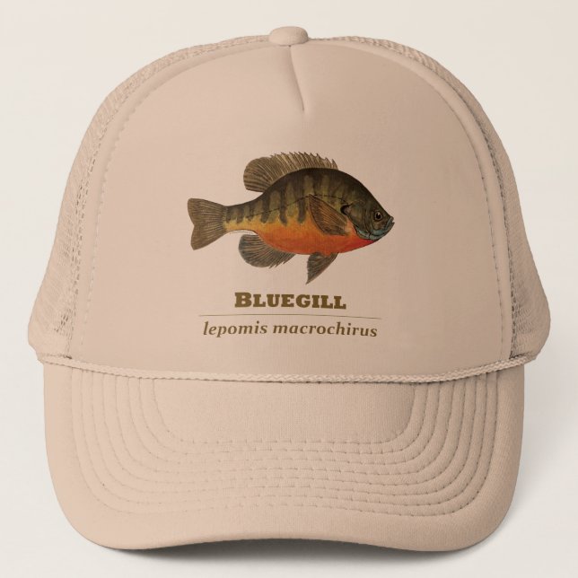 Bluegill-Brei-Fischerei Truckerkappe (Vorderseite)