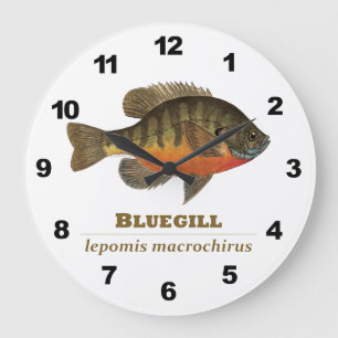 Bluegill Fischen Große Wanduhr