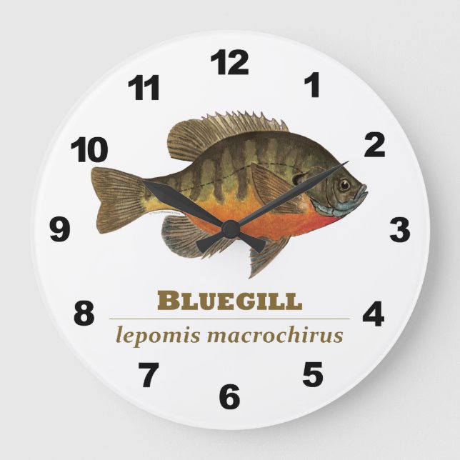 Bluegill Fishing Große Wanduhr (Vorderseite)