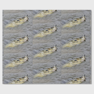Bluegill nimmt den Köder-Fischfang Geschenkpapier