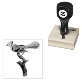 BlueJay Bird auf einer Vintagen Zweigstelle Gummistempel