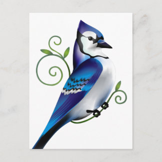 Bluejay Day Postkarte