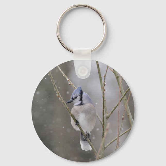 Bluejay im Schnee-Schlüsselanhänger Schlüsselanhänger (Vorderseite)