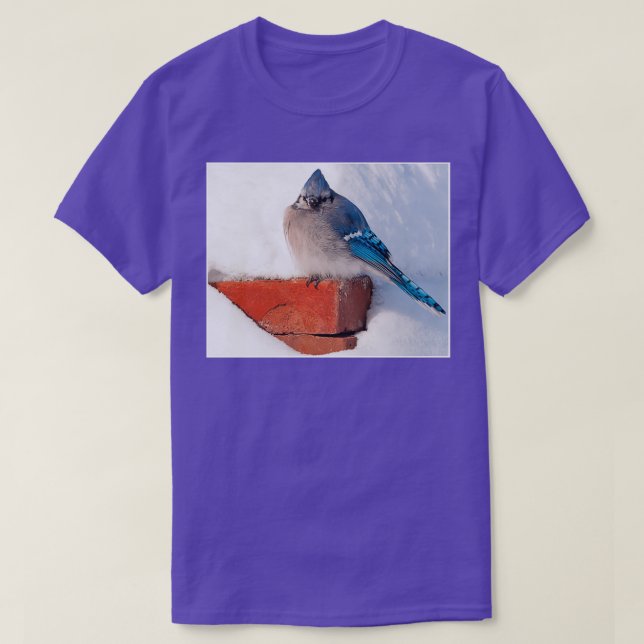 Bluejay in der Schneemasse T-Shirt (Design vorne)