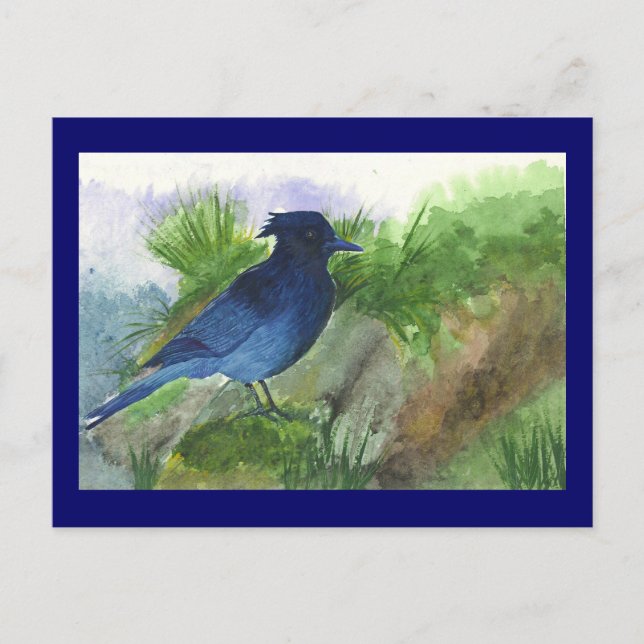 Bluejay in Muskeg Postkarte (Vorderseite)