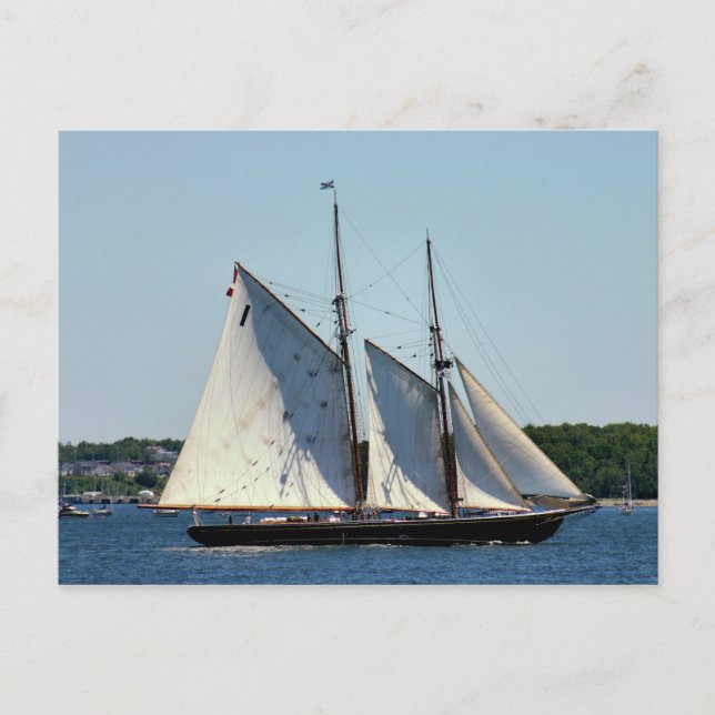 Bluenose II Postcard Postkarte (Vorderseite)