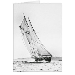 Bluenose kreuzt die Linie