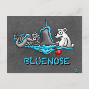 Bluenose Phins Postcard Postkarte