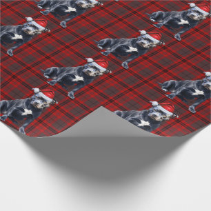 Bluenose PitBull Dog Holiday Kariert Weihnachten Geschenkpapier
