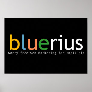 bluerius.com Banner Poster