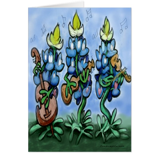 Blues Bonnets (Vorne)