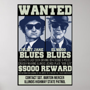 Blues Brothers Gewollt Poster