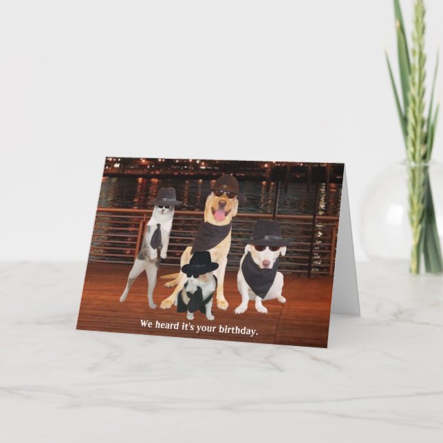 Blues Brothers Hunde und Katzen Karte (Vorderseite)
