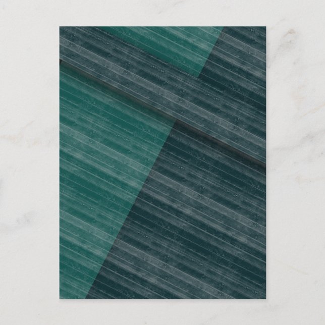 Blues Postkarte (Vorderseite)